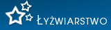Łyżwiarstwo